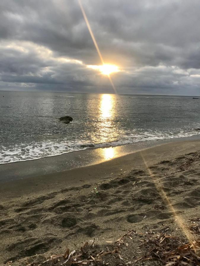 Le Clos Des Arbousiers Linguizzetta Bagian luar foto