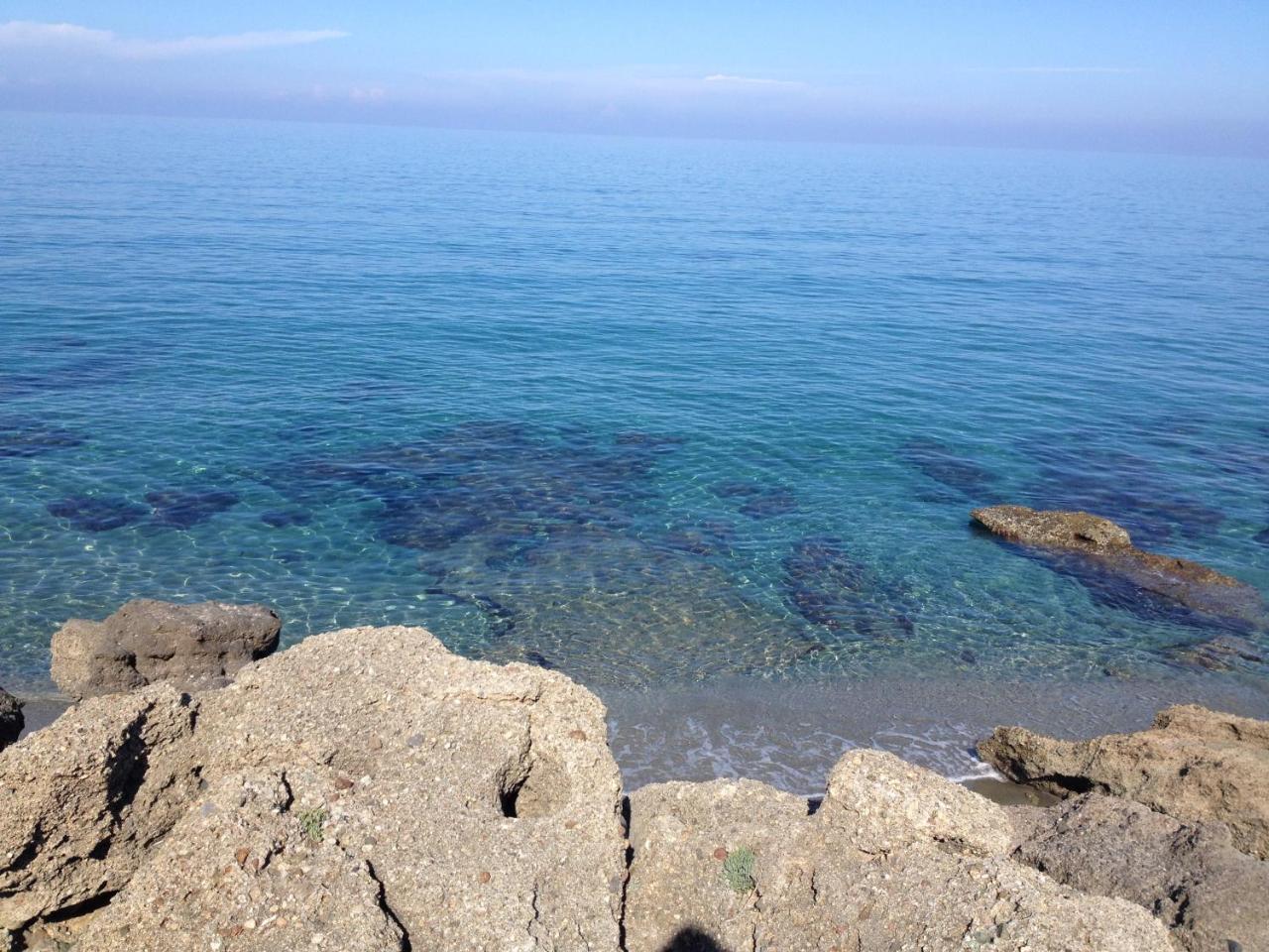 Le Clos Des Arbousiers Linguizzetta Bagian luar foto