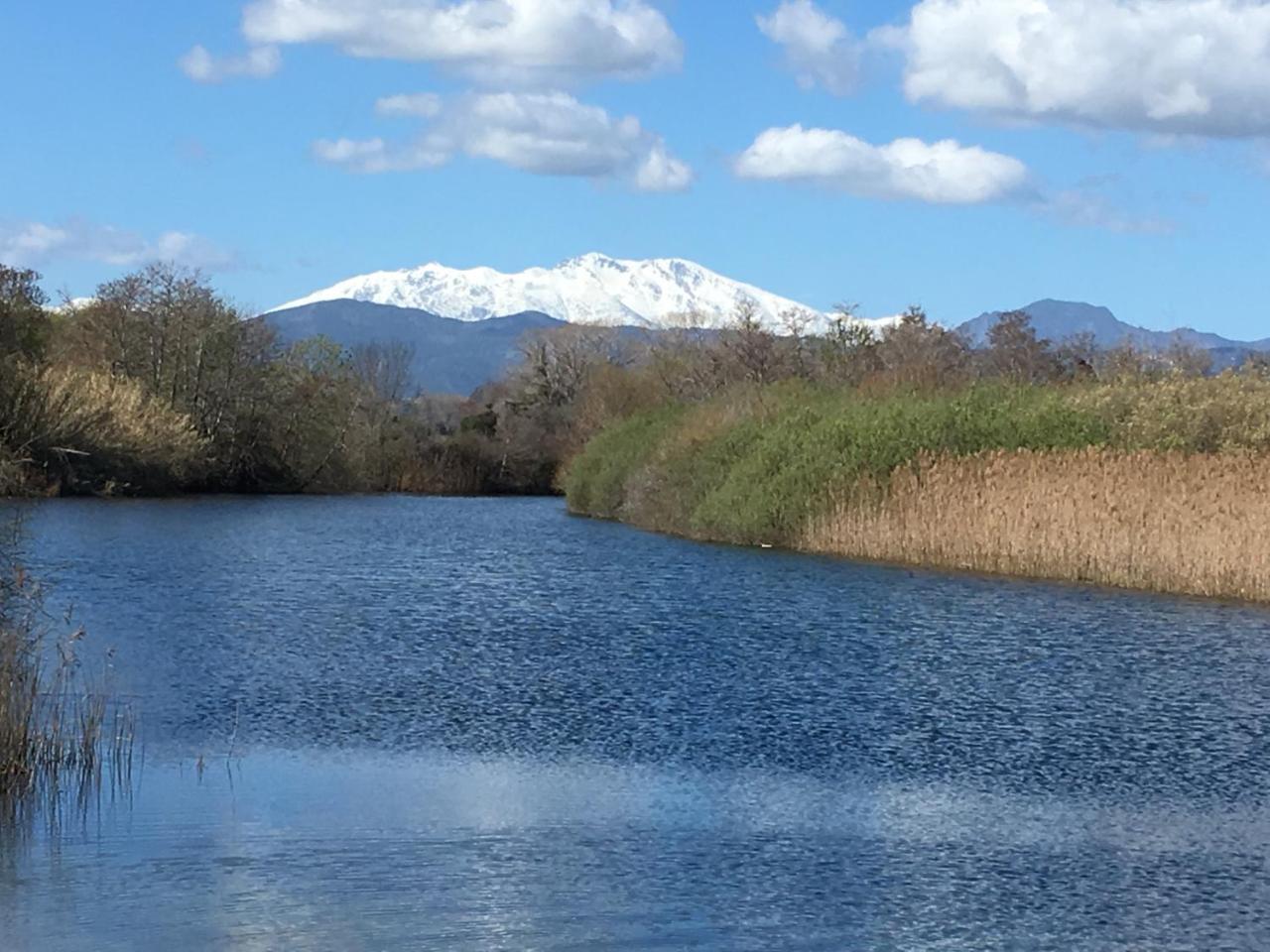 Le Clos Des Arbousiers Linguizzetta Bagian luar foto